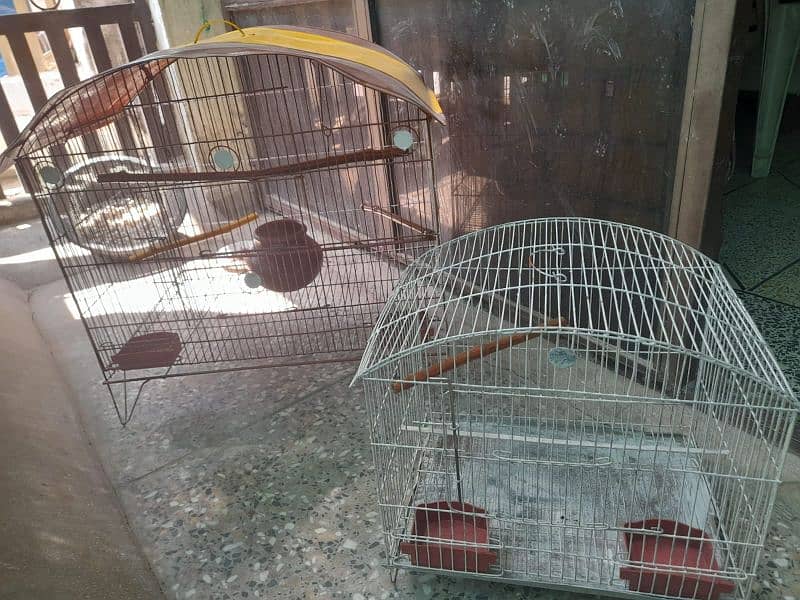 Parrots cage 8