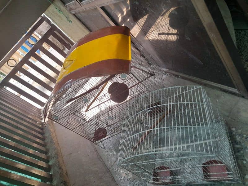 Parrots cage 9