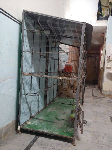 bards hen cage for sale 4