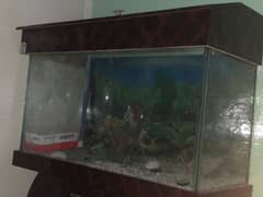 fish aquarium with aquarium  stand !!serious   buyer contact only