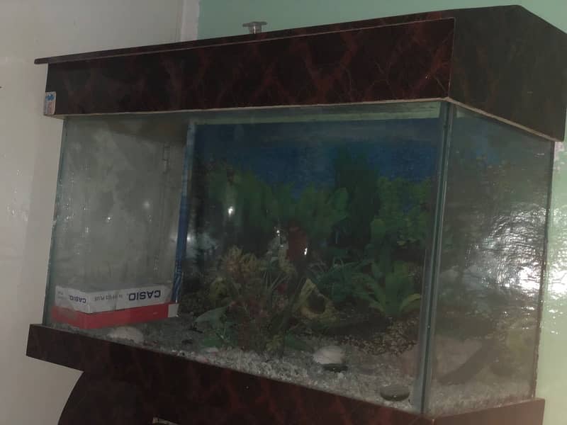 fish aquarium with aquarium  stand !!serious   buyer contact only 0