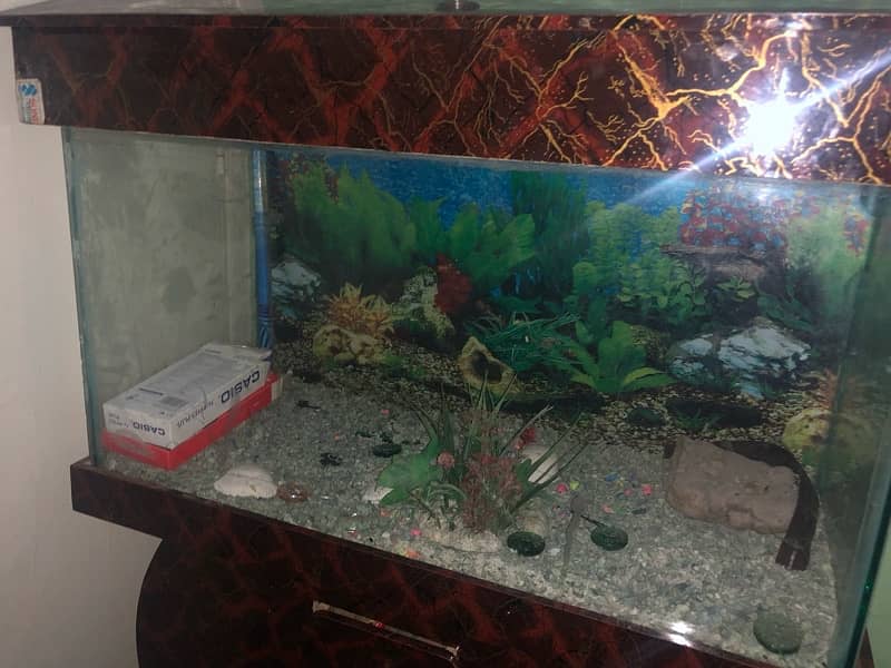 fish aquarium with aquarium  stand !!serious   buyer contact only 1