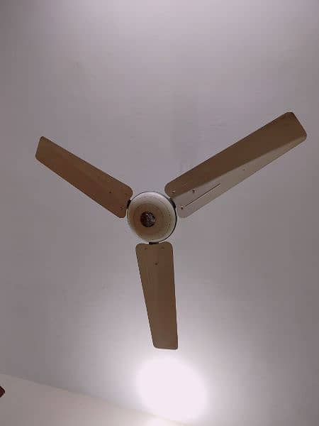 Almost new 100% copper Fan fan deluxe body 2