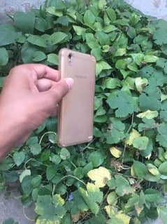 Oppo A37Faw