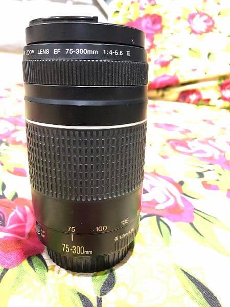 Canon 70-300 Zoom lens slighty used perfectly working 3