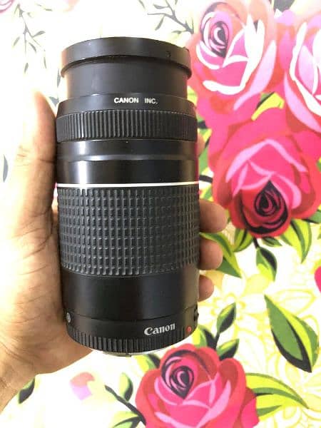 Canon 70-300 Zoom lens slighty used perfectly working 5