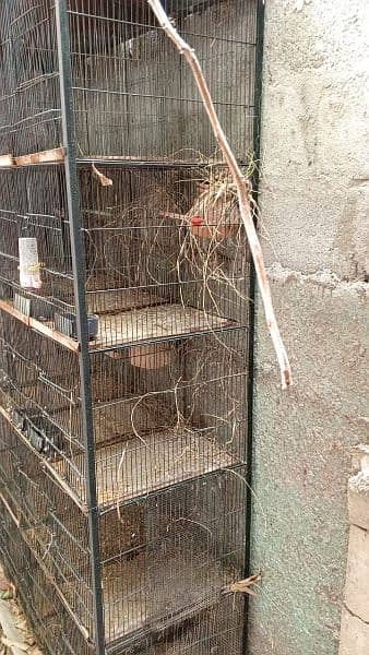 20 portion cage for sale 1