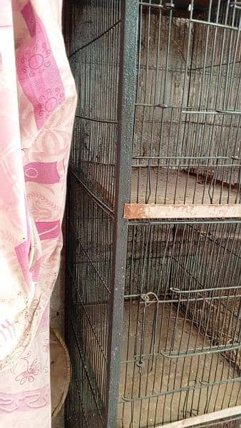 20 portion cage for sale 2