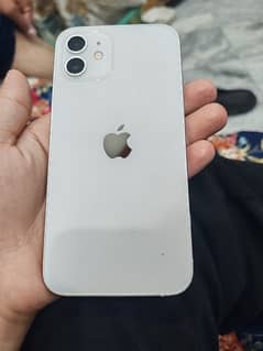 iphone12 white color