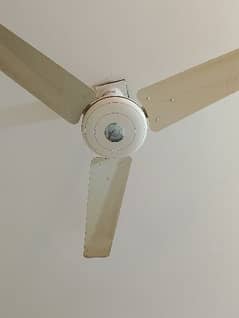 argent selling my 6 ceiling fans 03082992420