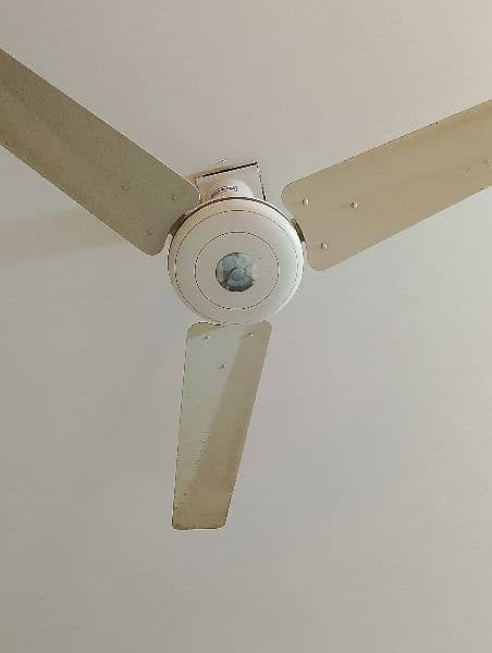 argent selling my 6 ceiling fans 03082992420 0