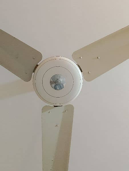 argent selling my 6 ceiling fans 03082992420 1