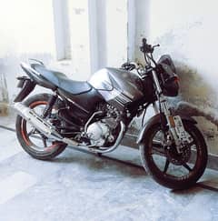 Yamaha YBR-125 ( Urgent Sale)