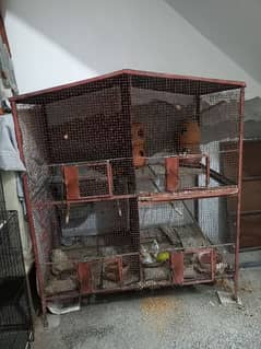 Cage and parrot and dove for Sale
