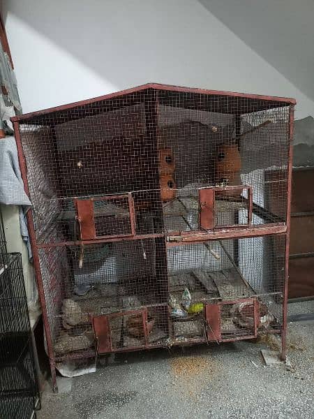 Cage and parrot and dove for Sale 0