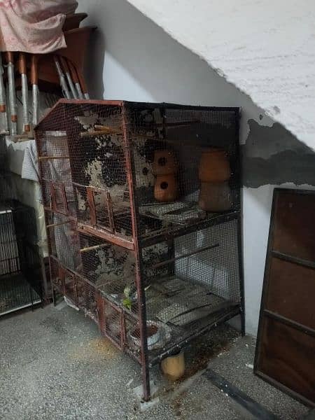 Cage and parrot and dove for Sale 1