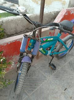 bic cycle