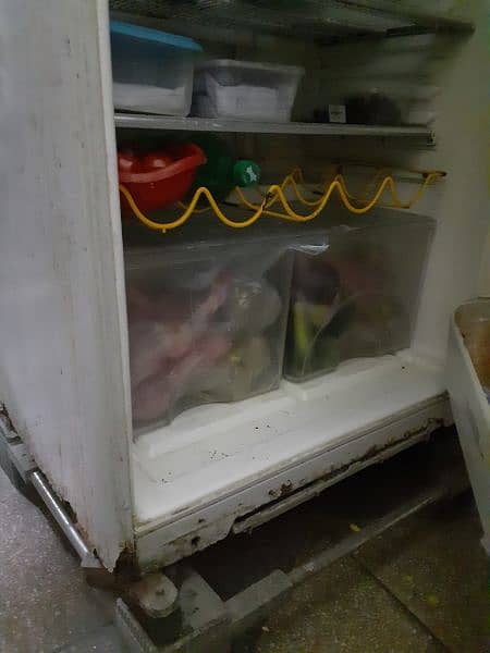Dawlance Refrigerator jumbo size 4