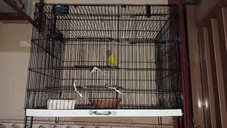 new cage urgent sale