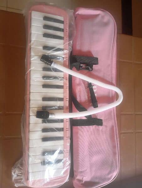 IRIN Melodica Piano 0