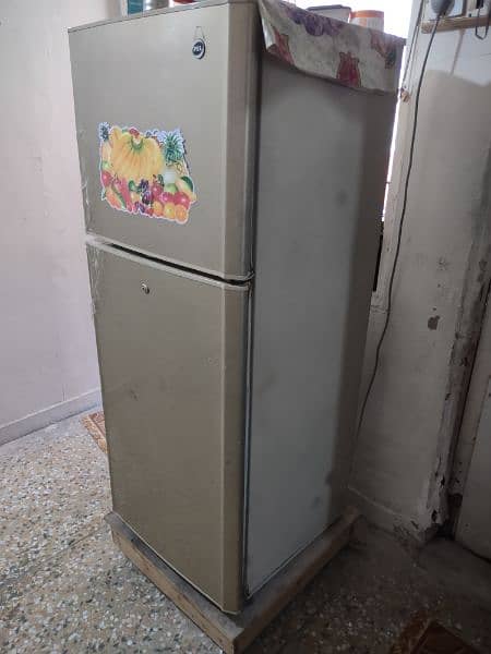 pel fridge 1