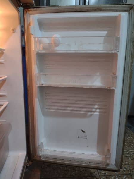 pel fridge 5