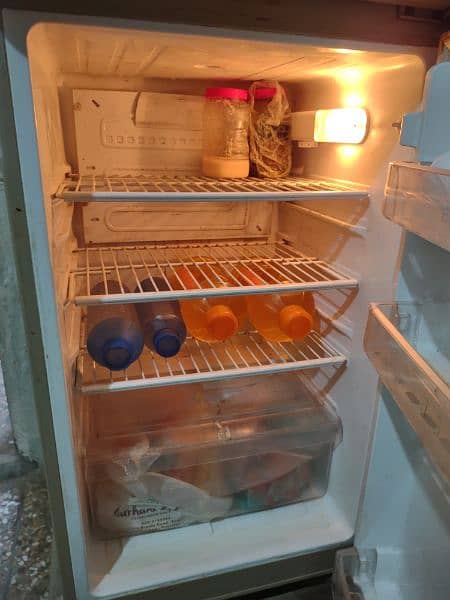 pel fridge 6