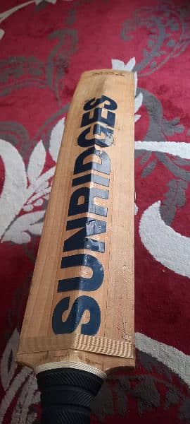 bat / ton bat / cricket bat for sell 1