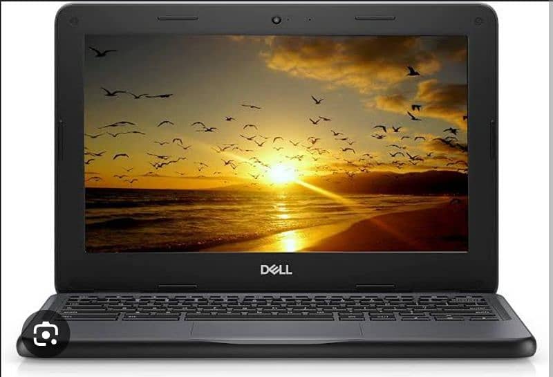 Dell Chromebook 3180 1