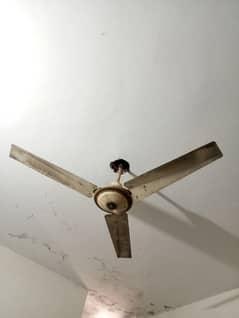 Ceiling Fan 56"