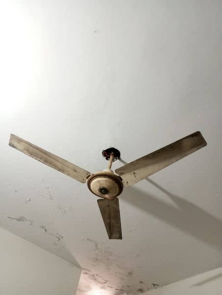 Ceiling Fan 56" 0
