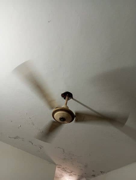 Ceiling Fan 56" 1