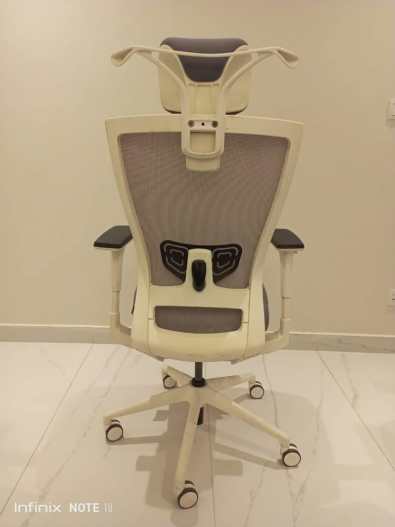 Imported Livart Chairs: Previously Used at the US Embassy 3