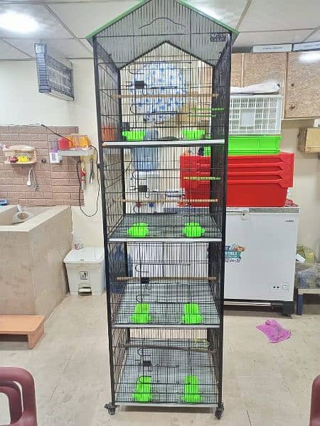 Bird Cage 4
