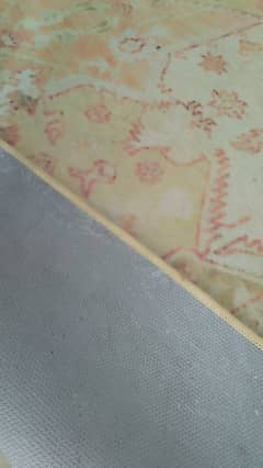 Rug in cheap price 0