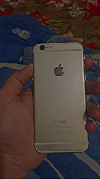 iPhone6 0
