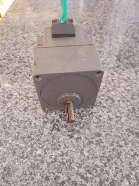 DC Brushless (BLDC) Gear Motor 24 Volts 2