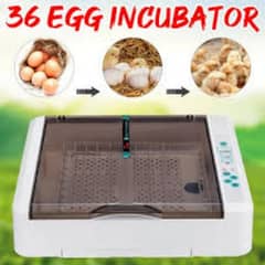 Automatic incubators hhd branded 36  ,24 eggs imported machines