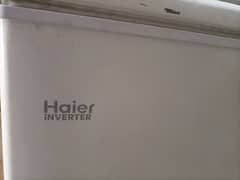 Haier deep freezer single door