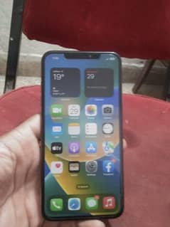 XS MAX 256 PTA APPROVED