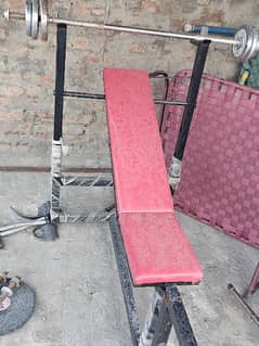 Gym 5 in one bench