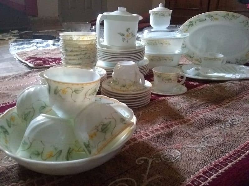 France Marble Dinner Set 72 pieces 6
