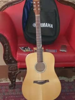 Acoustic Guitar