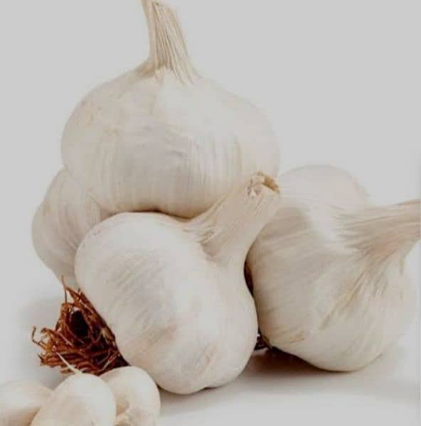 Garlic lesson dasi 1