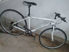 sports bicycle japenese