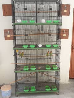 Full setup of java hogoromo and love bird with cage