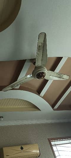 beautiful design SONEX fan pure copper