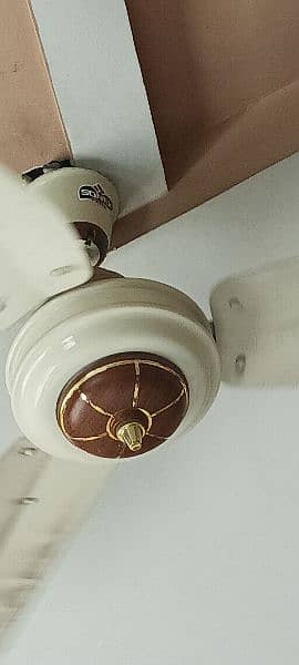 beautiful design SONEX fan pure copper 2