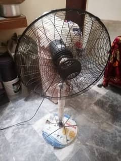 New Condition Royal Fan