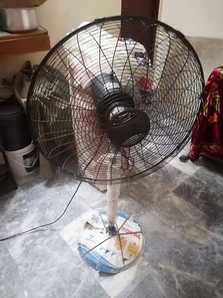 New Condition Royal Fan 0